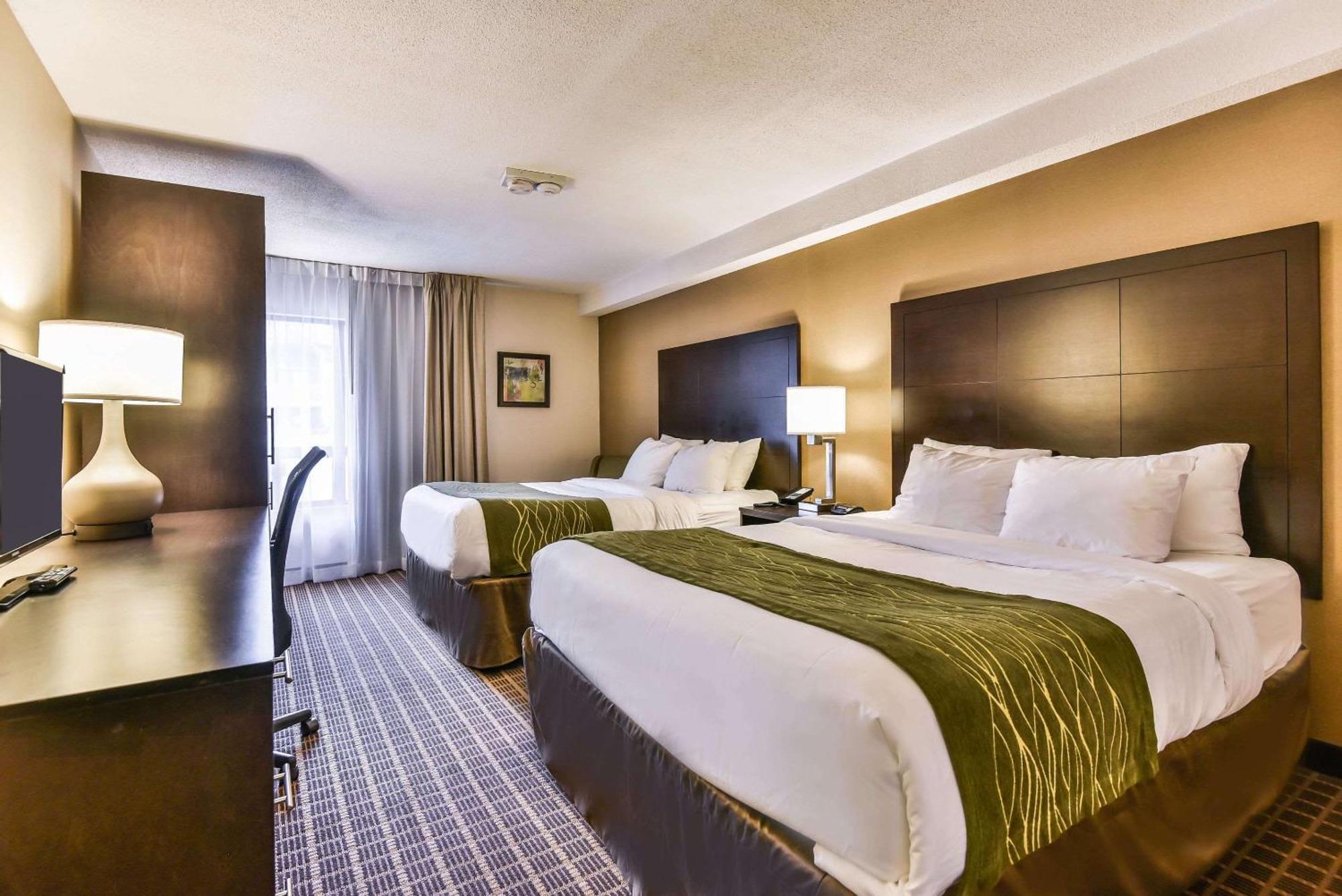 ווינדזור Comfort Inn מראה חיצוני תמונה