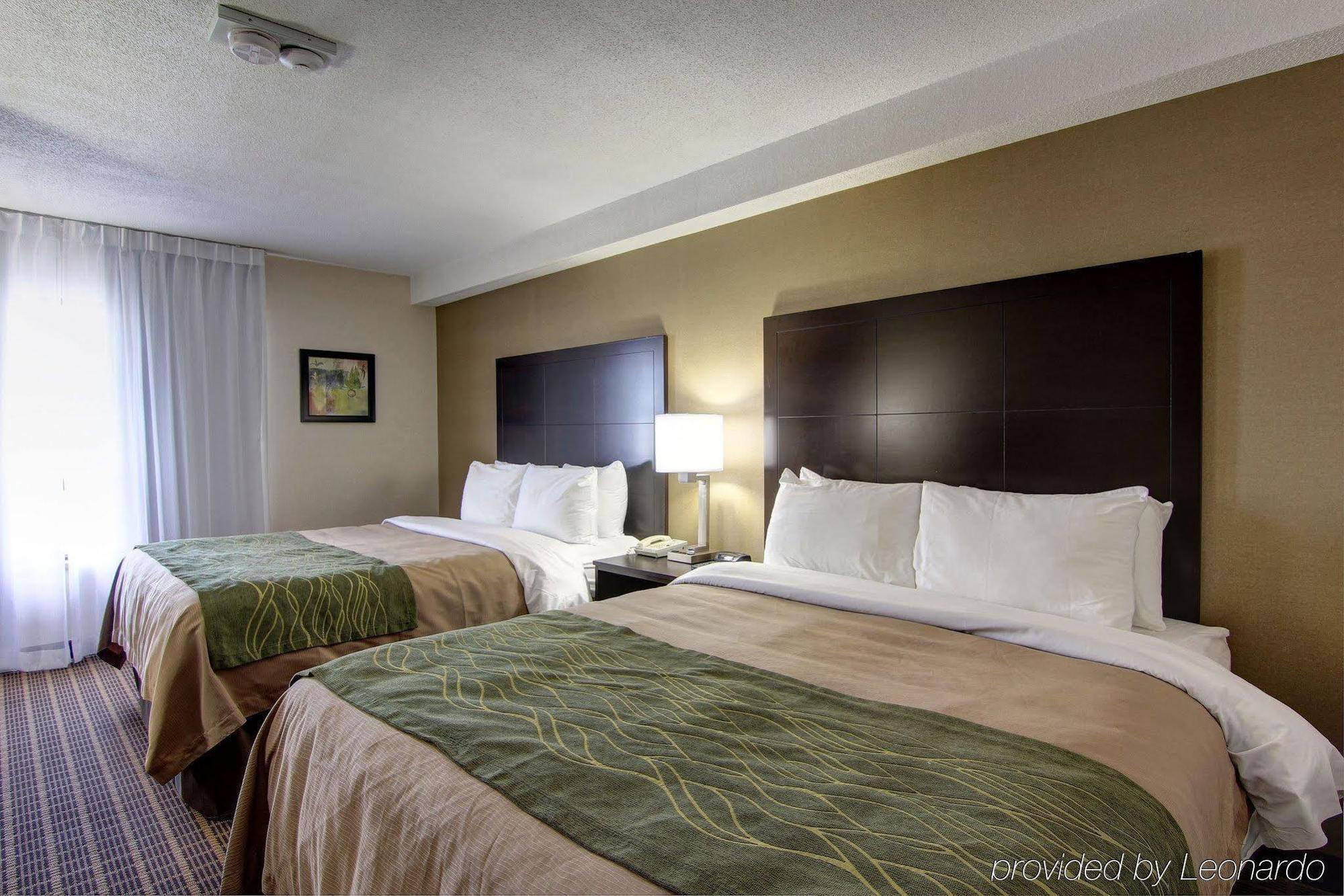 ווינדזור Comfort Inn מראה חיצוני תמונה