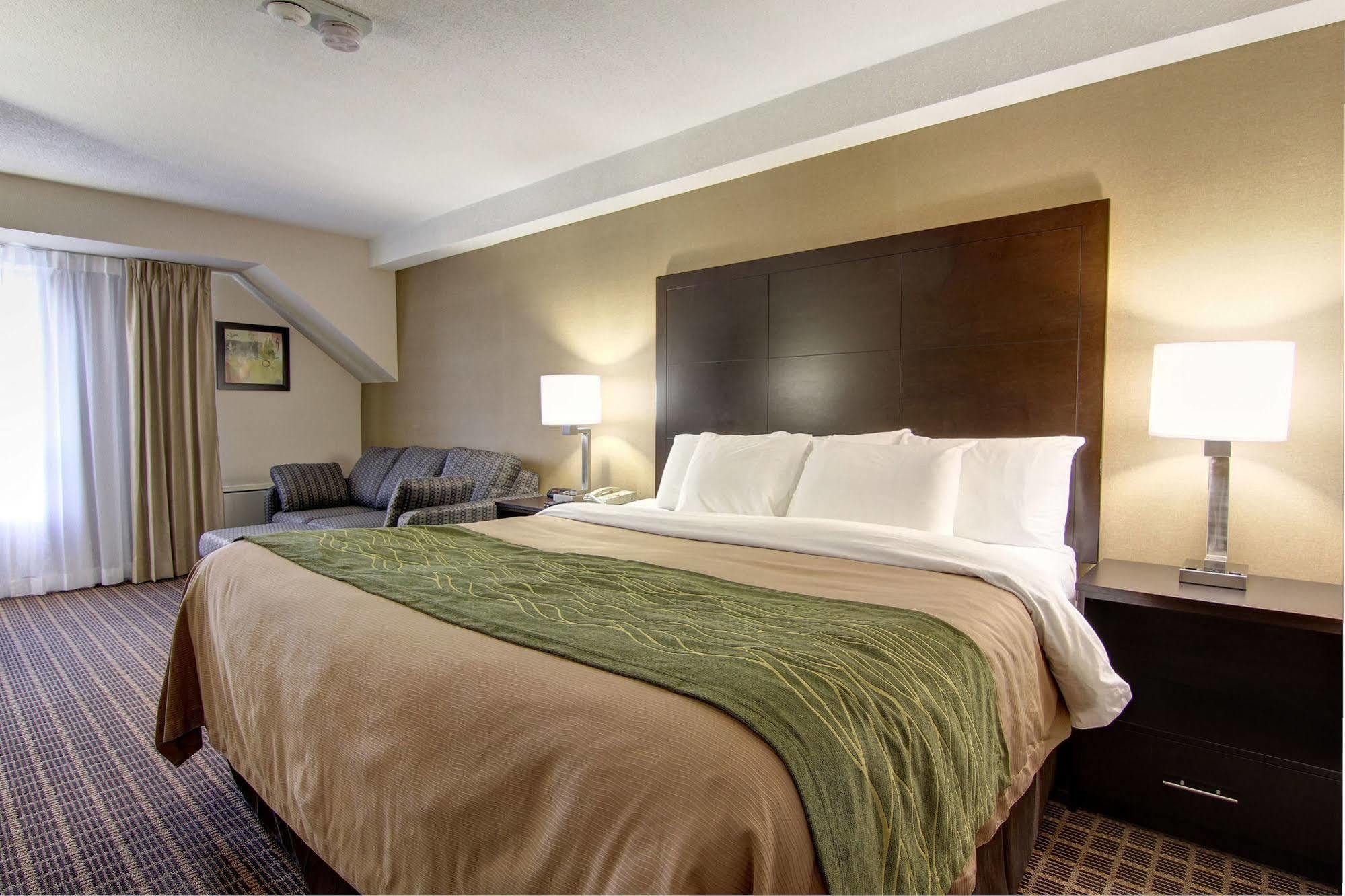 ווינדזור Comfort Inn מראה חיצוני תמונה